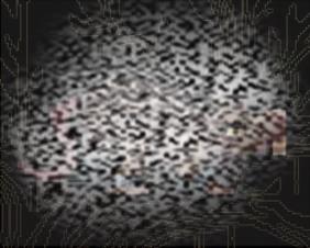 ܳūԽ ܳū·߽