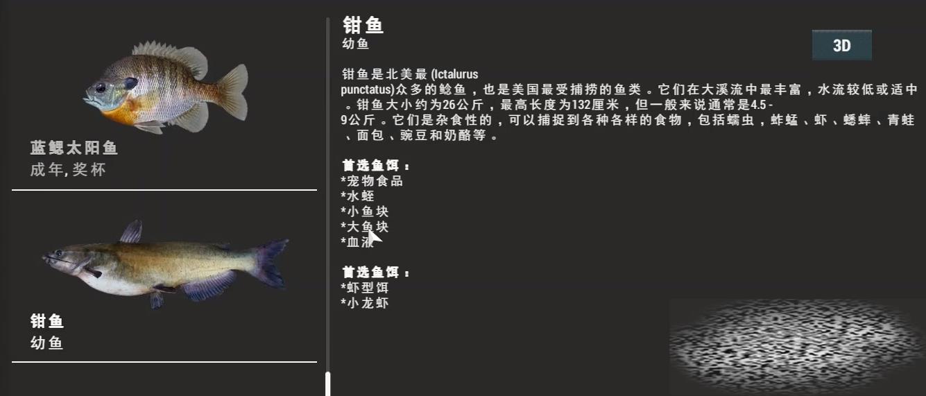 ǯô ǯ