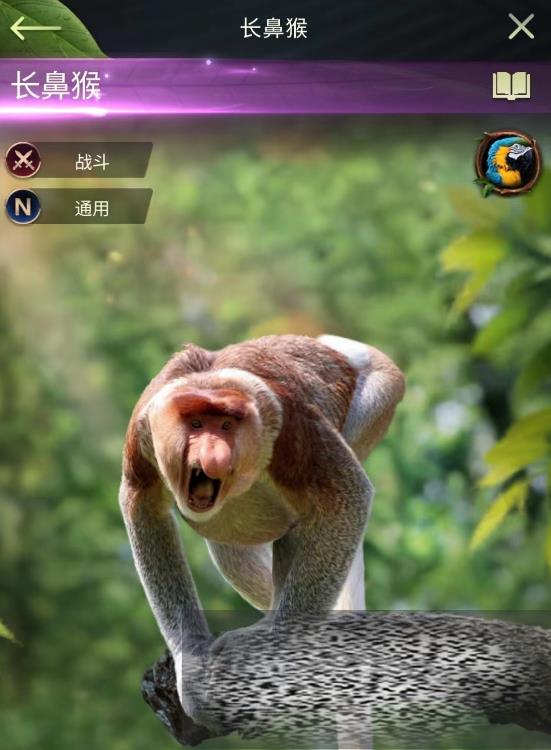 Ұ糤Ǻô Ұ糤Ǻ＼ܽ