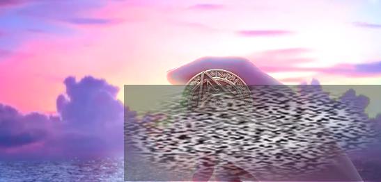 ֮ļҹ˾ ֮Ϸ