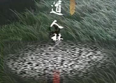 ʮ¿ ʮ¿ɷ