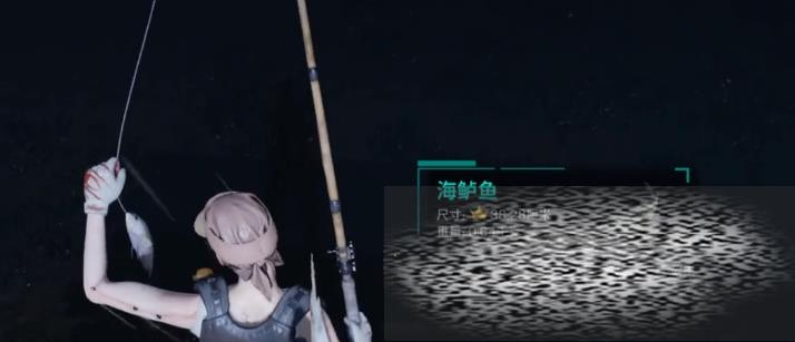 纣ô 纣÷