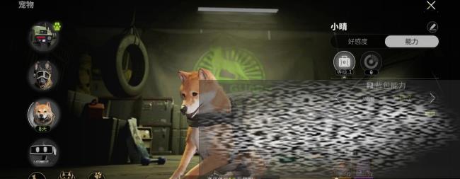 өͻС鿨ô өͻС鿨ȡ